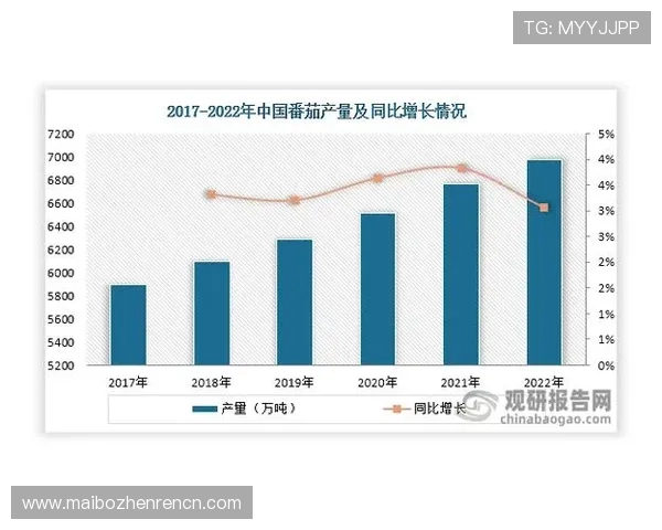 亚博视讯网站的未来发展趋势与创新方向展望助力持续领先