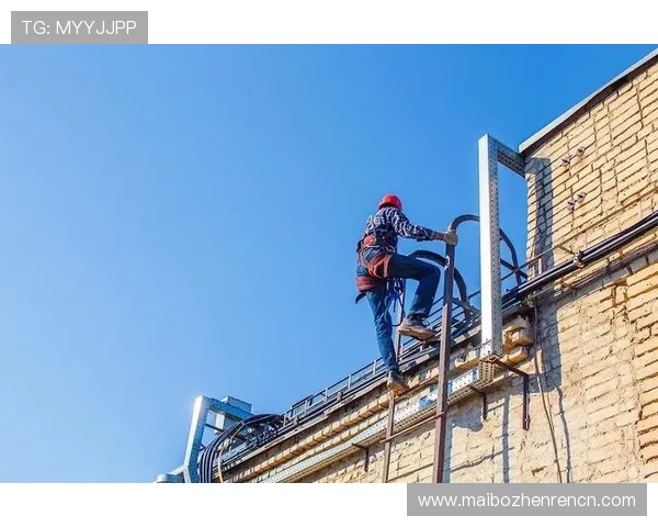 了解bg真人体育的安全保障措施，保障您的资金与个人信息安全